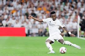 中进行详细 中进行详细